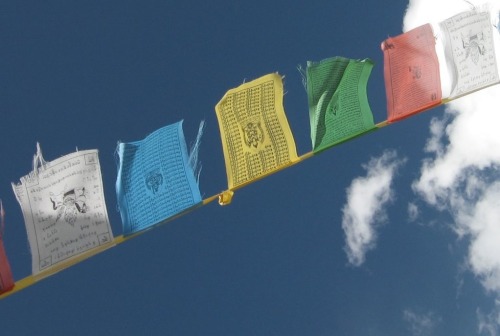 Tibetan Flags