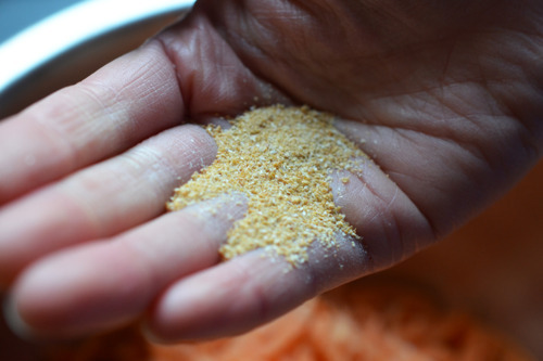 A closeup shot of a hand with garlic and onion powder.