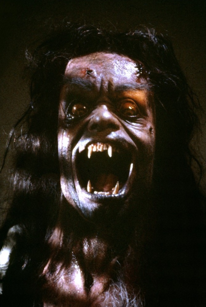 Resultado de imagen de howling 1981