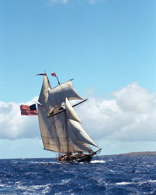 thatandthese:
“so this replica of a War of 1812 privateer is arriving at Nantucket Harbor sometime around three this afternoon. I am really excited. As well as a huge nerd.
”
