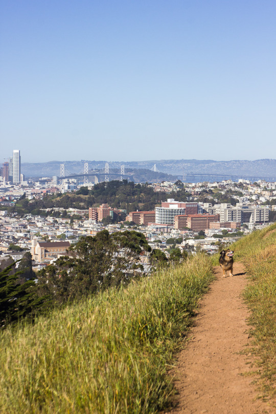 Best views of SF from Bernal Hills
