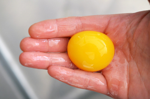 Someone holding an egg yolk in their hand.
