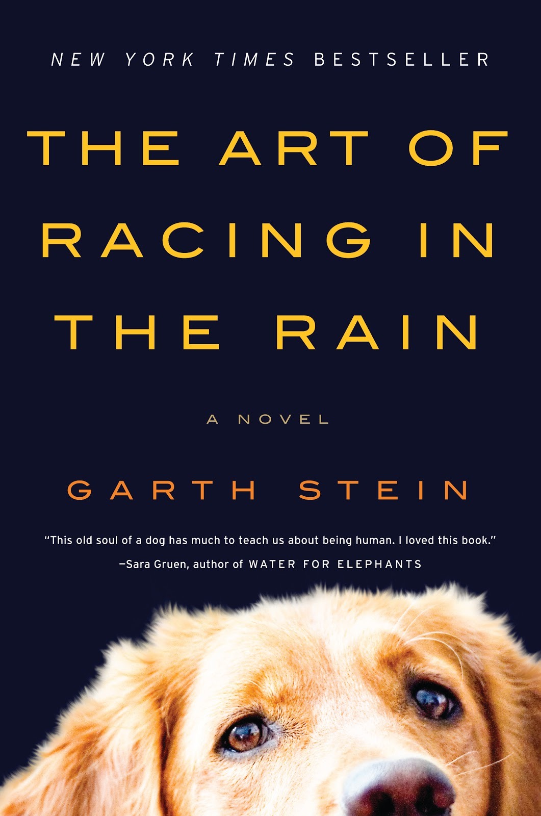 BOOK MANIA! — “The Art of Racing in the Rain” by Garth
