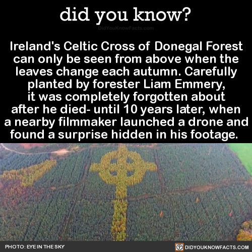 irelands-celtic-cross-of-donegal-forest-can-only
