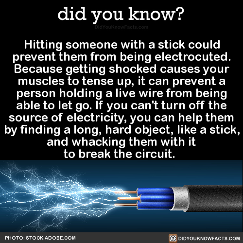hitting-someone-with-a-stick-could-prevent-them