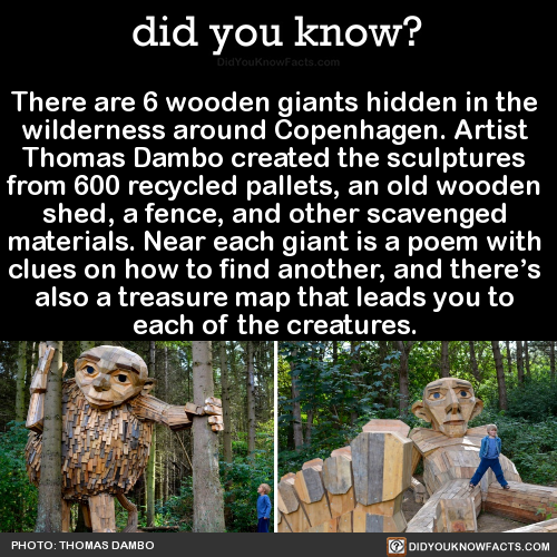 there-are-6-wooden-giants-hidden-in-the