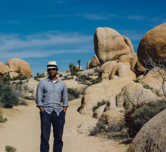One day in Joshua tree