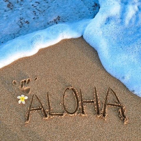 aloha gif | Tumblr