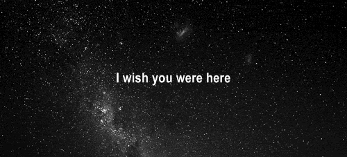 Image result for WISH YOU WERE HERE GIF
