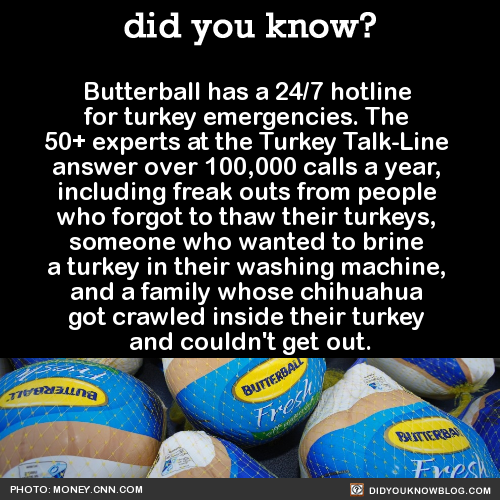did-you-kno-butterball-has-a-247-hotline-for