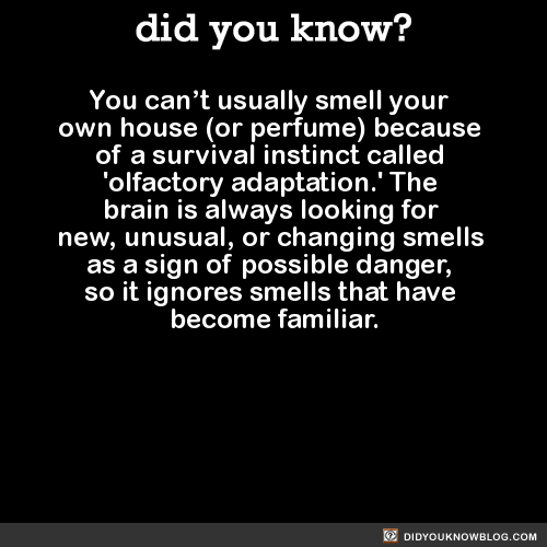 you-cant-usually-smell-your-own-house-or