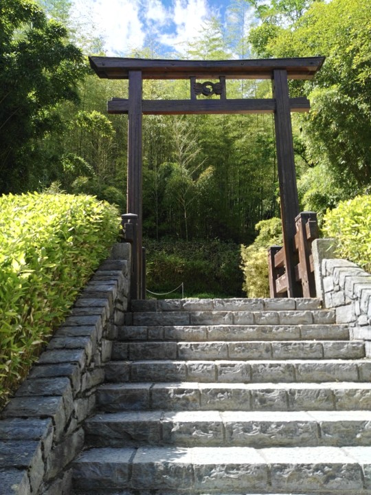 jardin japonais Villa Carlotta