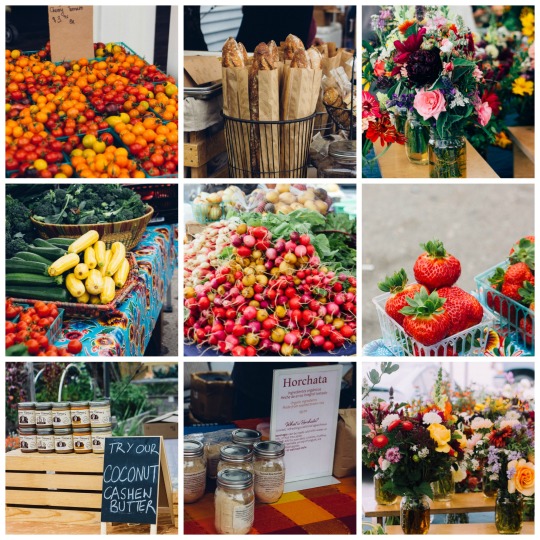 Farmers market at Point Reyes, where to eat in Point Reyes