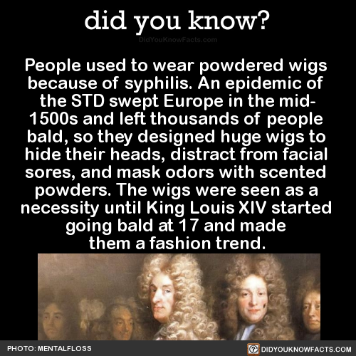 people-used-to-wear-powdered-wigs-because-of