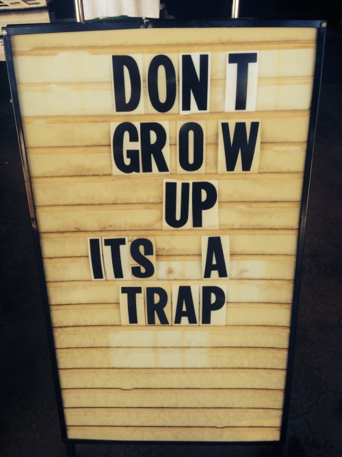 don't grow up it's a trap on Tumblr
