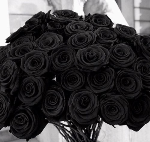 Ten Black Roses 14