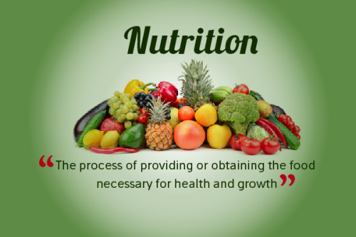 Nutrition Food