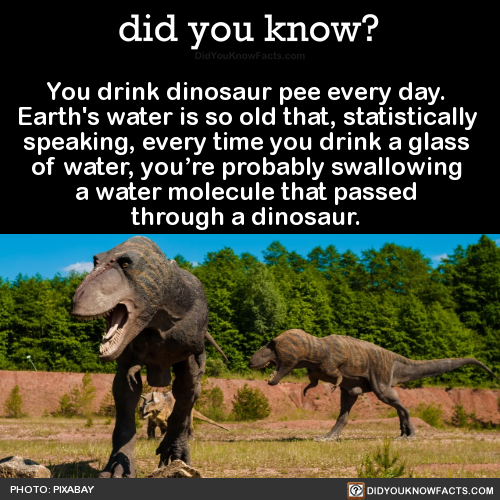 you-drink-dinosaur-pee-every-day-earths-water