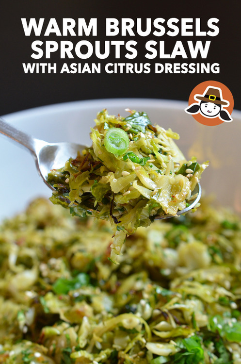 A closeup of a spoonful of Warm Brussels Sprouts Slaw with Asian Citrus Dressing, a make-ahead Whole30 Thanksgiving side dish!