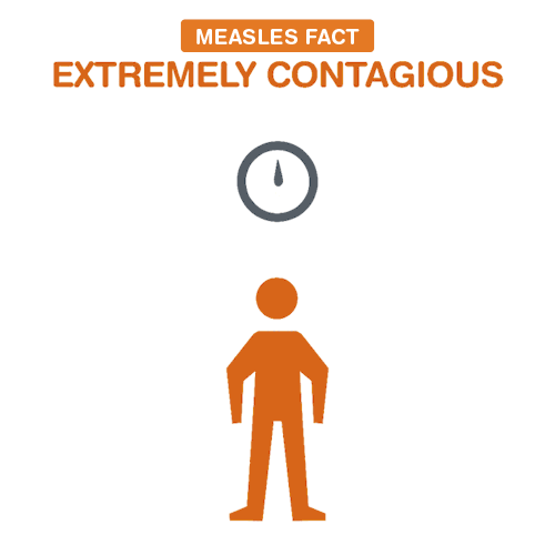 What are some facts about measles?