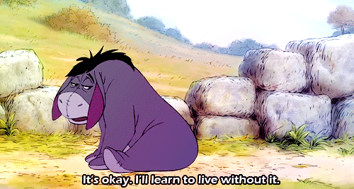 Image result for eeyore there's no use gif