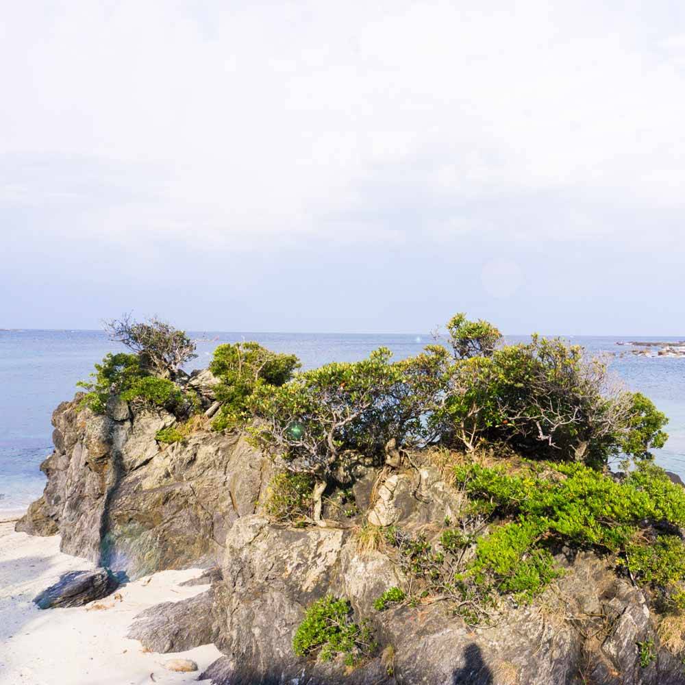 屋久島の海