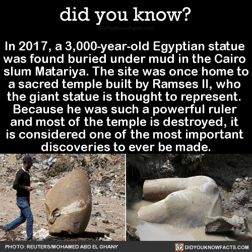 in-2017-a-3000-year-old-egyptian-statue-was