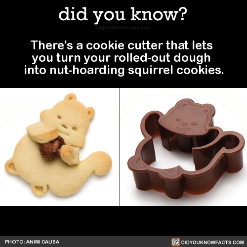 theres-a-cookie-cutter-that-lets-you-turn-your
