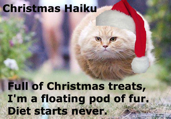 A Christmas haiku written by Chris and me.
Is this cat also you?