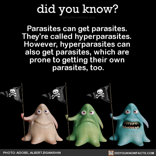 parasites-can-get-parasites-theyre-called