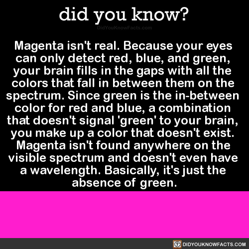 did-you-kno-magenta-isnt-found-anywhere-on-the