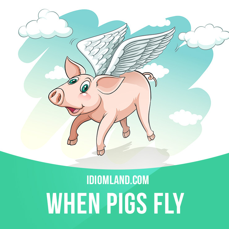 When Pigs Fly Idiom