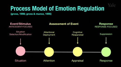 Emotion regulation and decision making