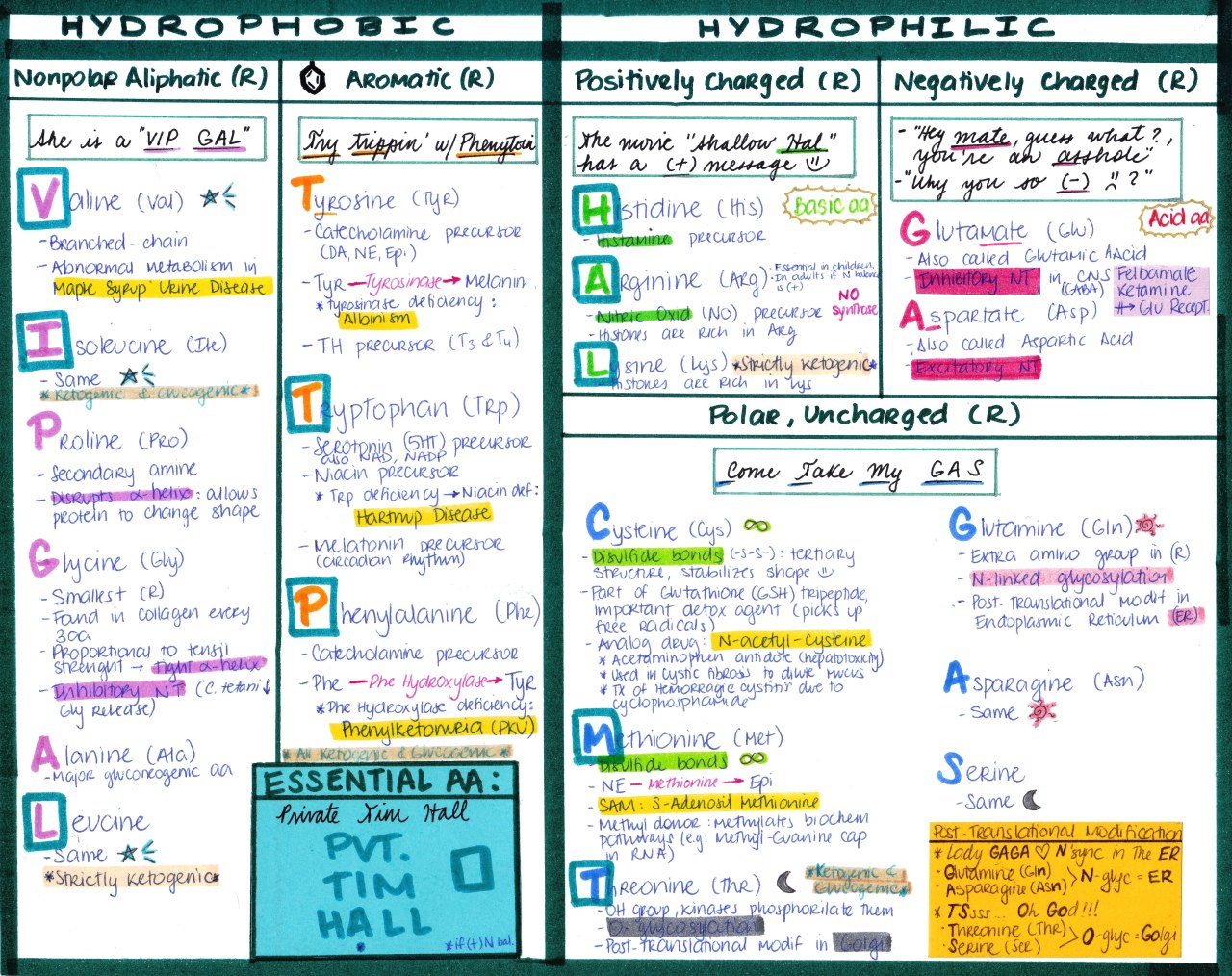 My Notes for USMLE — HYDROPHOBIC AND HYDROPHYLIC AMINO ACIDS Click...
