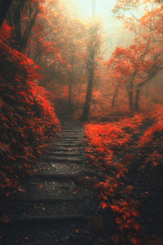 A beautiful fall day.
A pebbled path through the red.
Charcoal steps leading up.
Fantasies flow through my head.
The leaves lift off
Until the day turns dark.
I’m trapped inside
A red swirl in the park.
The rain trickles.
The wind cackles.
I flee for...