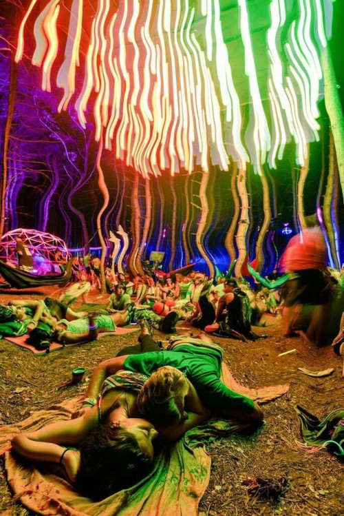 Electric forest on Tumblr