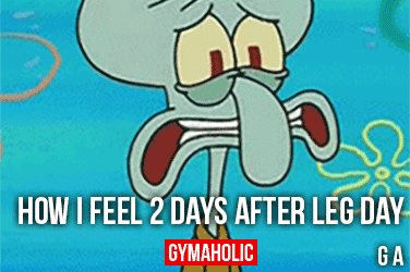How I Feel 2 Days After Leg Day - Gymaholic Fitness App