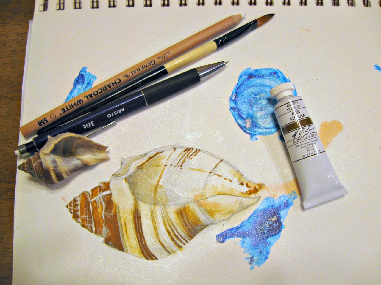 artsnacksblog: “ Quick shell study. Finally got around to playing with the March box. Used everything that came in the box and nothing else. ” ArtSnacks is like a magazine subscription but instead of a magazine you get 4 or 5 different art products...