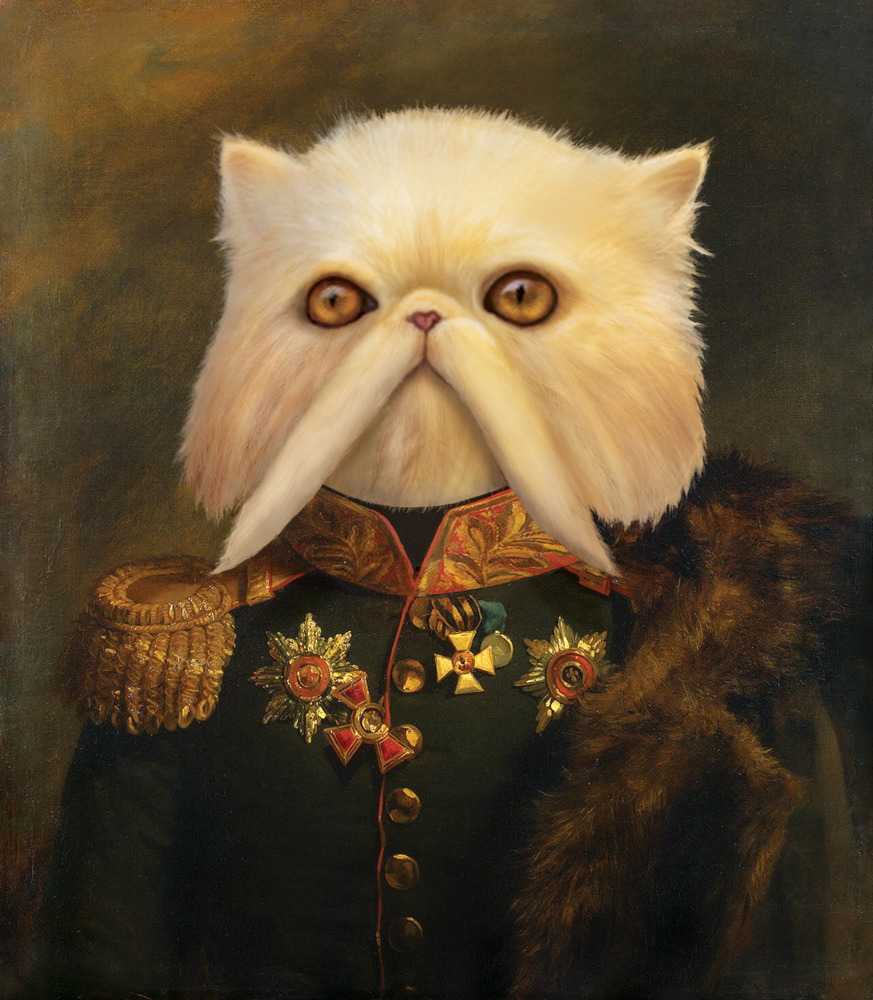 Persian Cat Emperor http://anastasecatalin.blogspot.ro