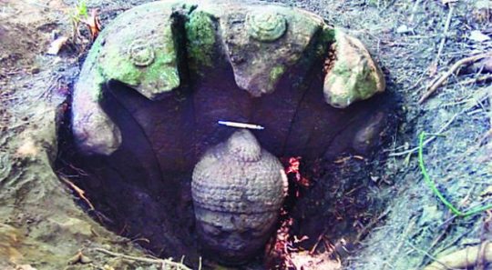 1400-year-old Buddha idol unearthed in Odisha