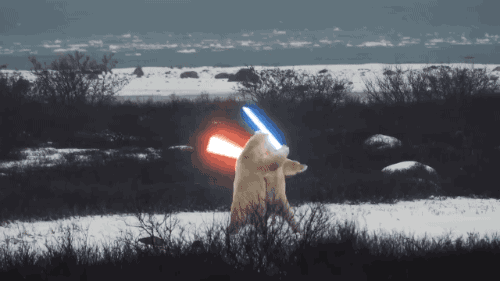 hello-reylo:
“ gin-and-disappointment:
“ Someday I will not reblog this. Today is not that day.
”
Episode VIII Space Bear looks great
”