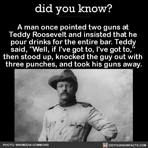 a-man-once-pointed-two-guns-at-teddy-roosevelt