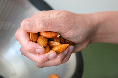 Someone holding a fistful of rinsed almonds for vanilla almond milk.