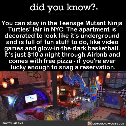 you-can-stay-in-the-teenage-mutant-ninja-turtles