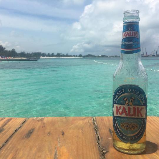 Kalik in the Bahamas