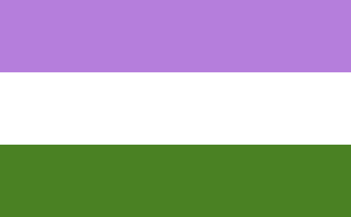 Image result for genderqueer flag