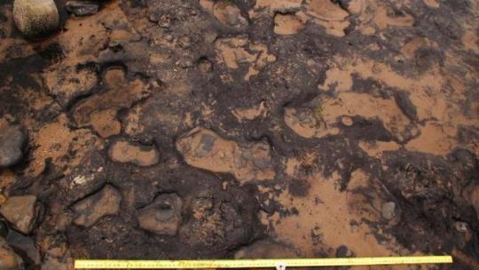 Footprints 'date back 7,000 years and could show hunting party'