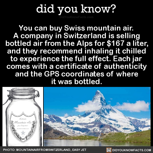 you-can-buy-swiss-mountain-air-a-company-in