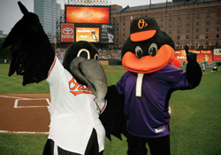 Ravens and Orioles