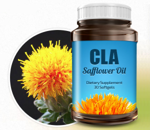 cla safflower oil diet